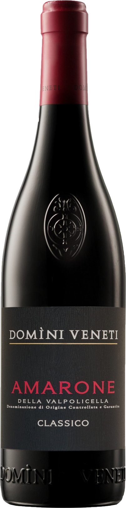 Domìni Veneti Amarone Amarone d. Valpolicella Cl. DOCG 2021