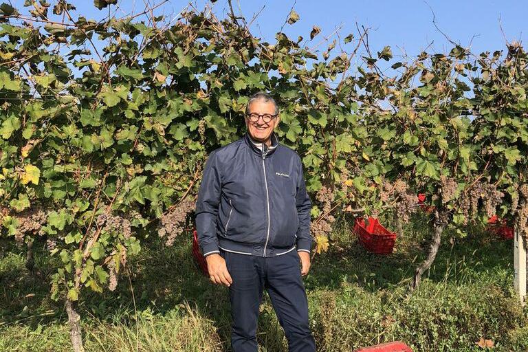 Azienda Agricola Feliciana Azienda Agricola Feliciana
