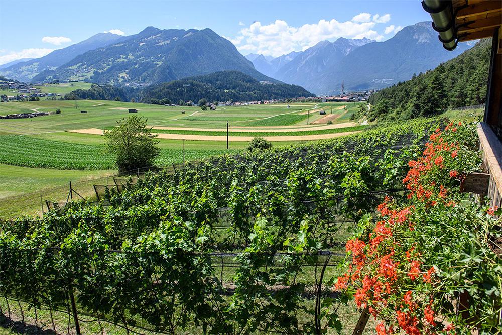 Tirol QW