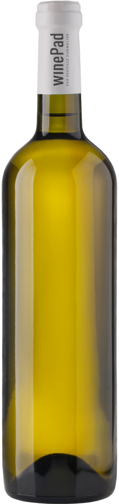 Grill, Riesling Kabi Südsteiermark DAC 2023 Grill, Riesling Kabi Südsteiermark DAC 2023