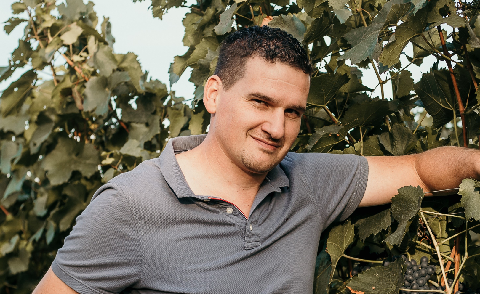 Weingut Jonny Wegleitner